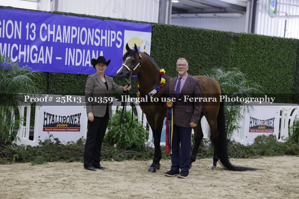 Proof 25R13_01359