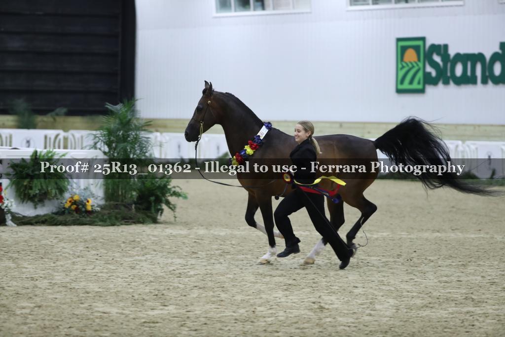 Proof 25R13_01362