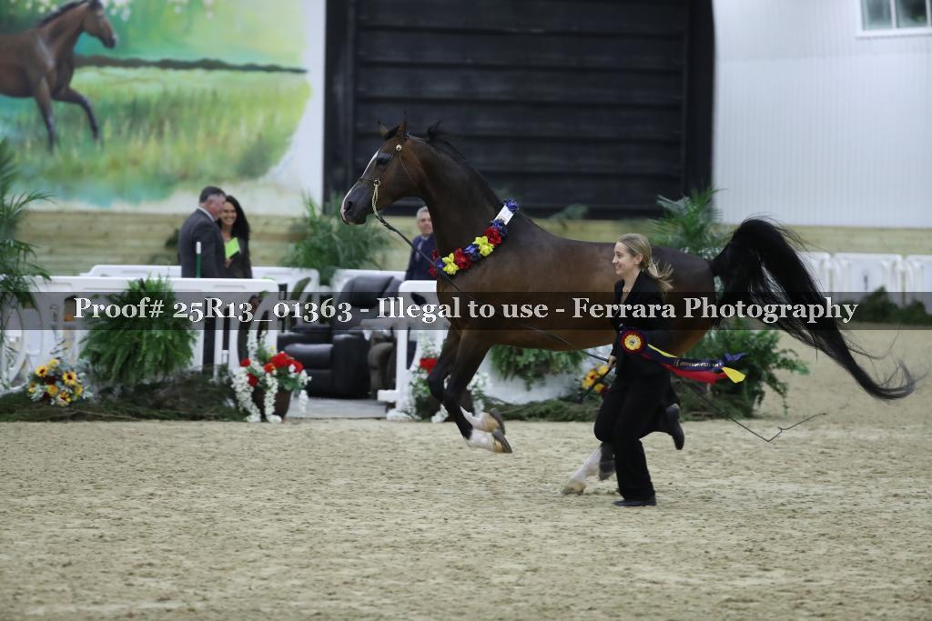 Proof 25R13_01363