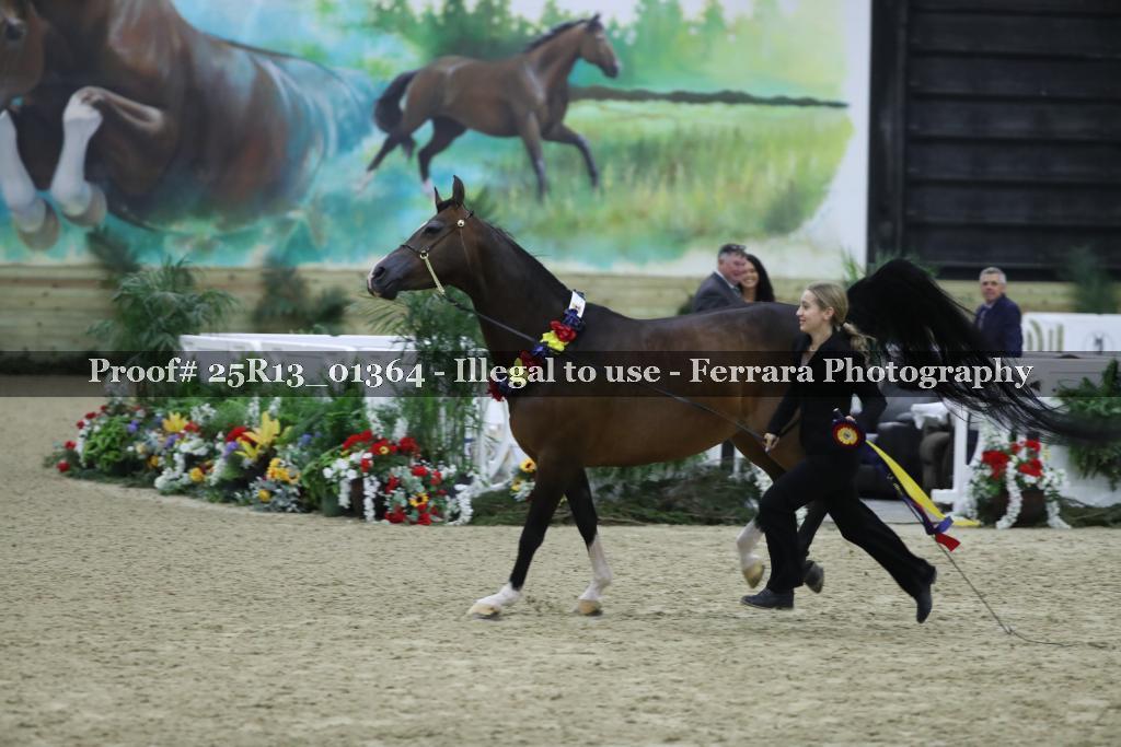 Proof 25R13_01364
