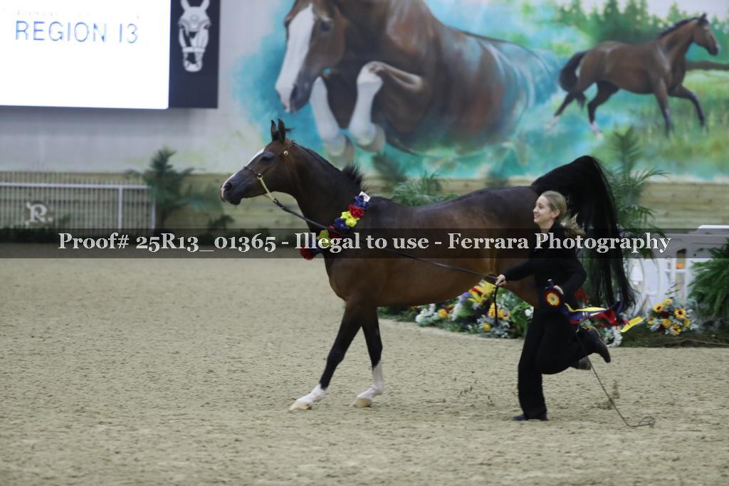 Proof 25R13_01365