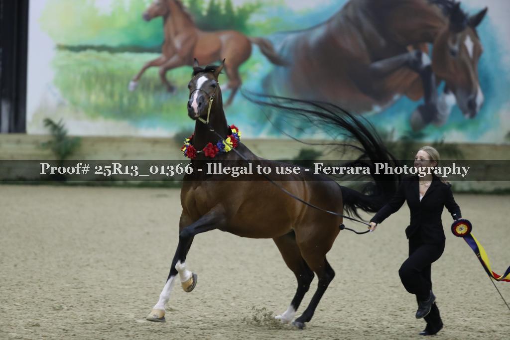 Proof 25R13_01366