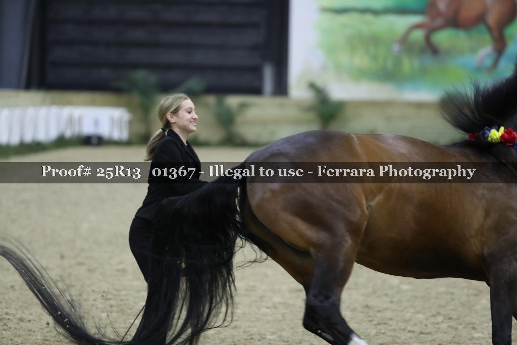 Proof 25R13_01367