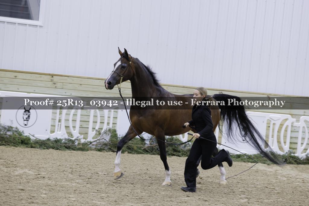 Proof 25R13_03942