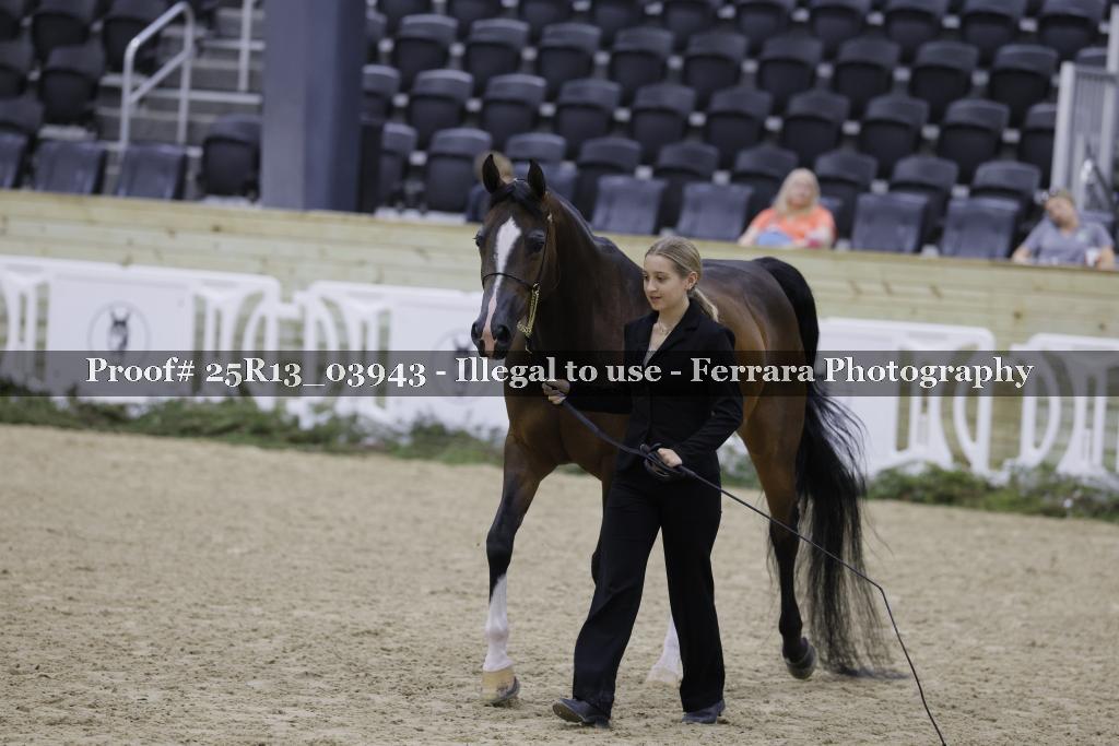 Proof 25R13_03943