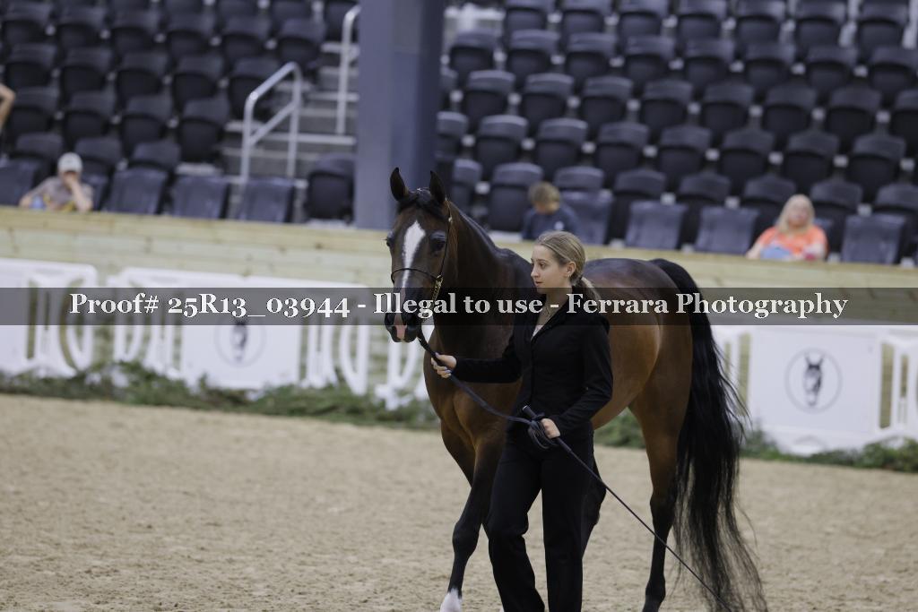 Proof 25R13_03944