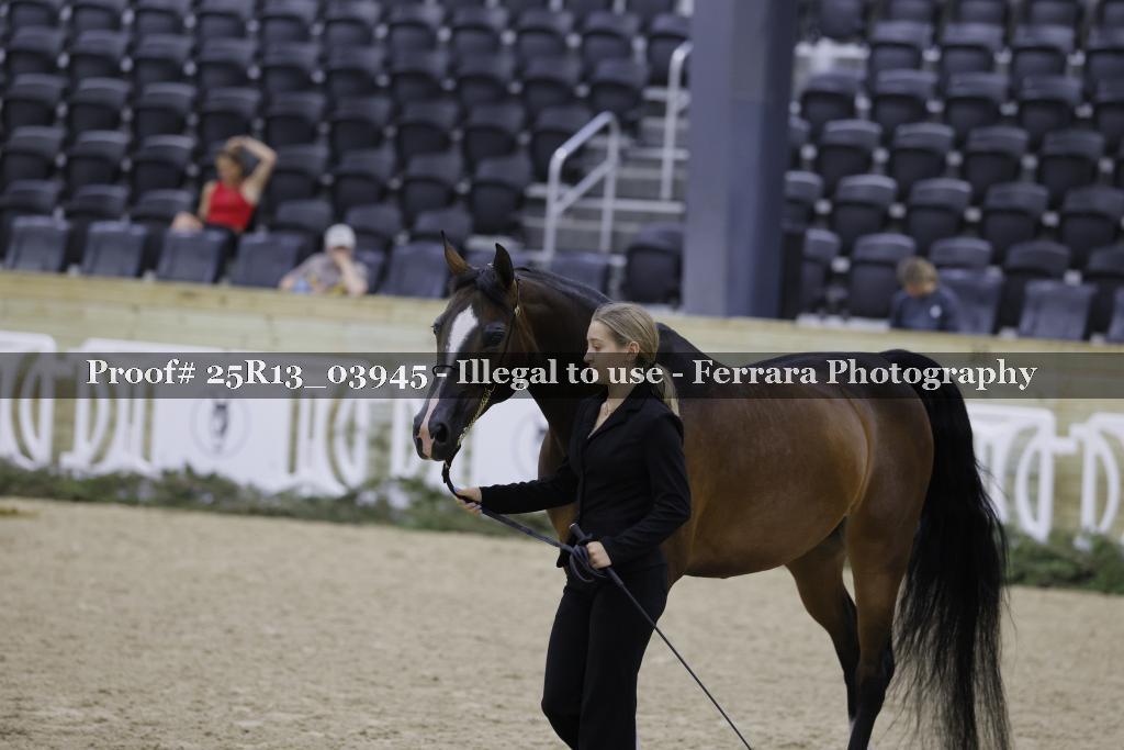 Proof 25R13_03945