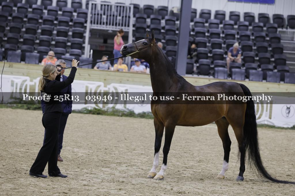 Proof 25R13_03946