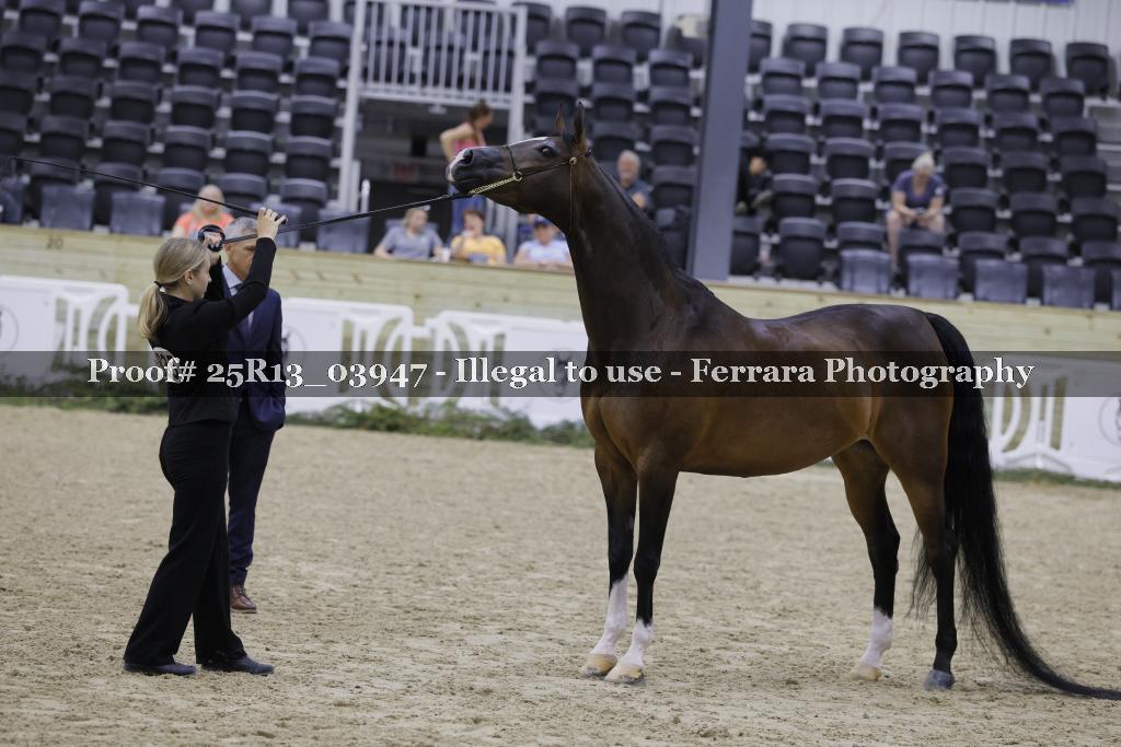 Proof 25R13_03947