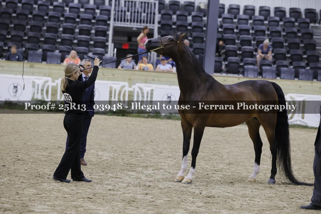 Proof 25R13_03948