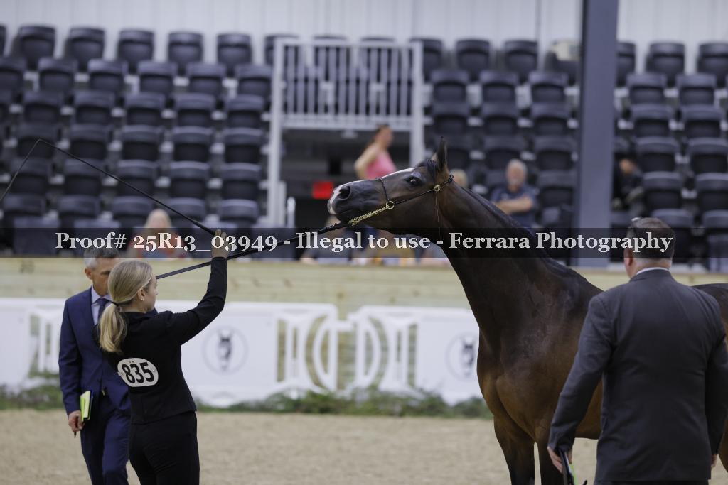 Proof 25R13_03949