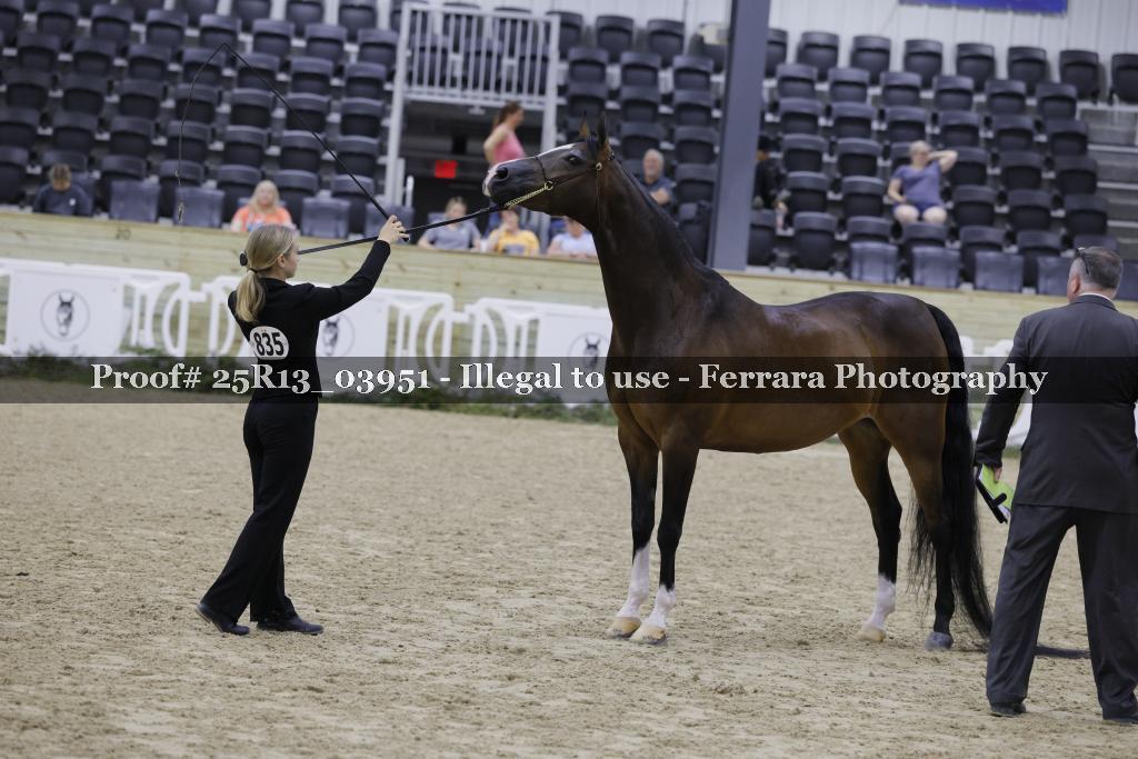 Proof 25R13_03951