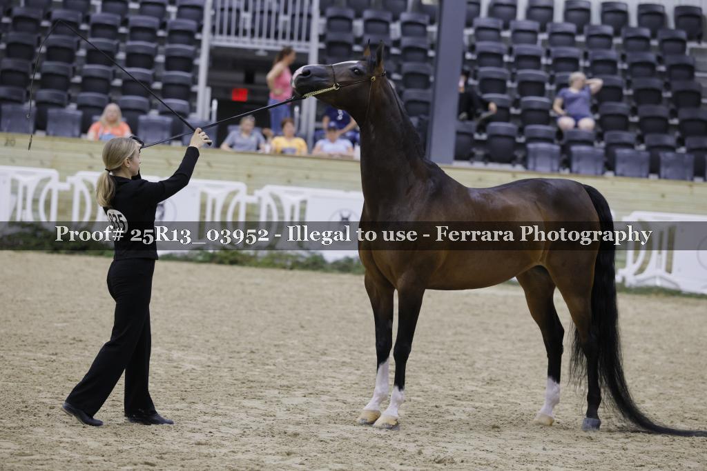 Proof 25R13_03952