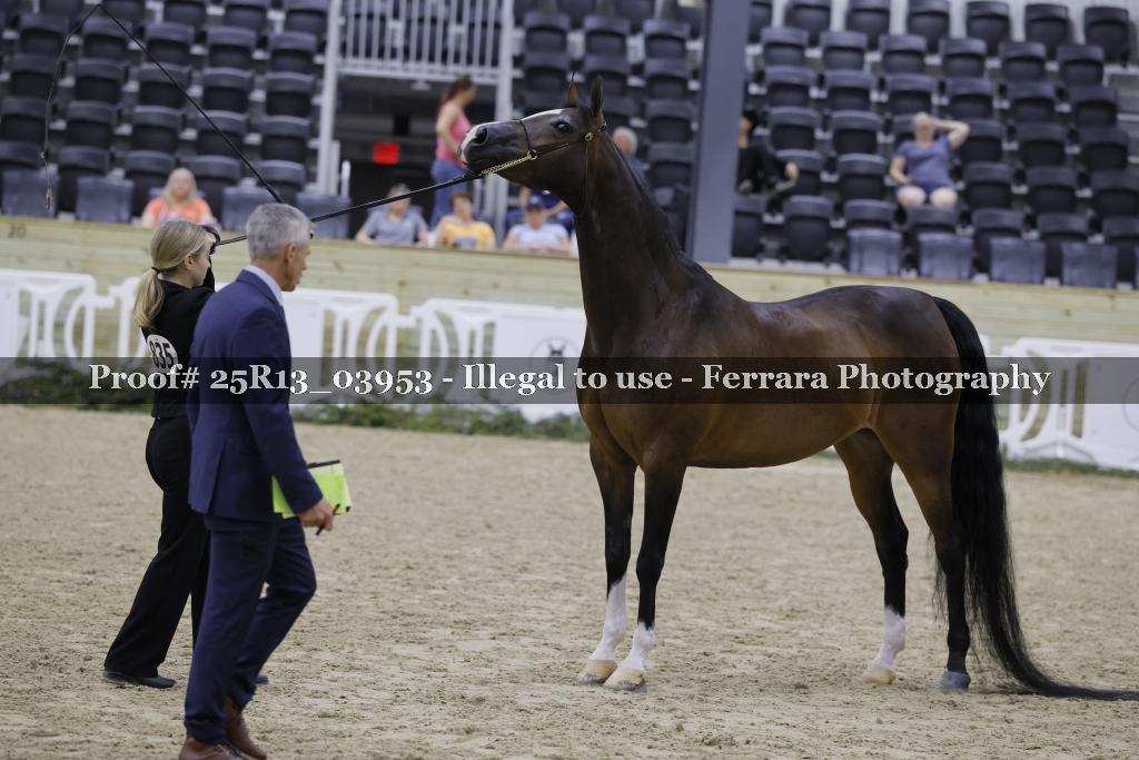 Proof 25R13_03953