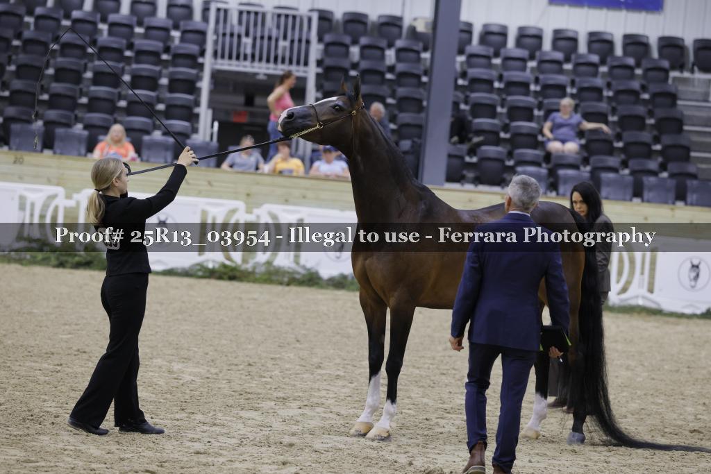 Proof 25R13_03954