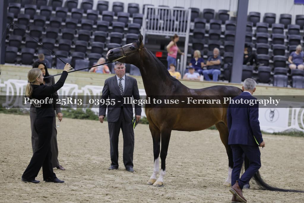 Proof 25R13_03955
