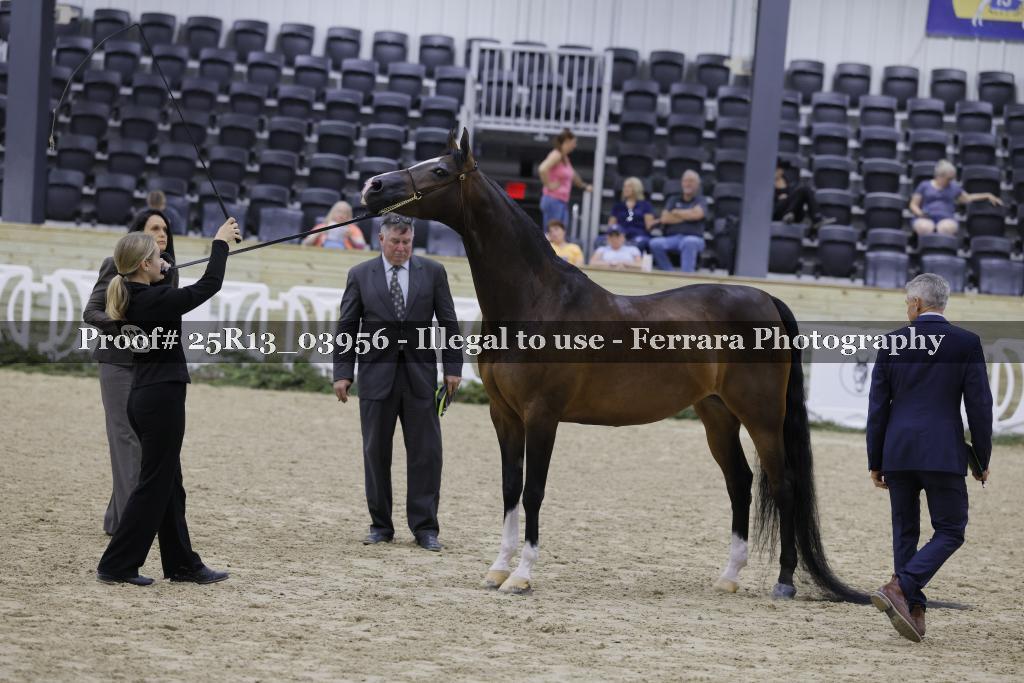 Proof 25R13_03956