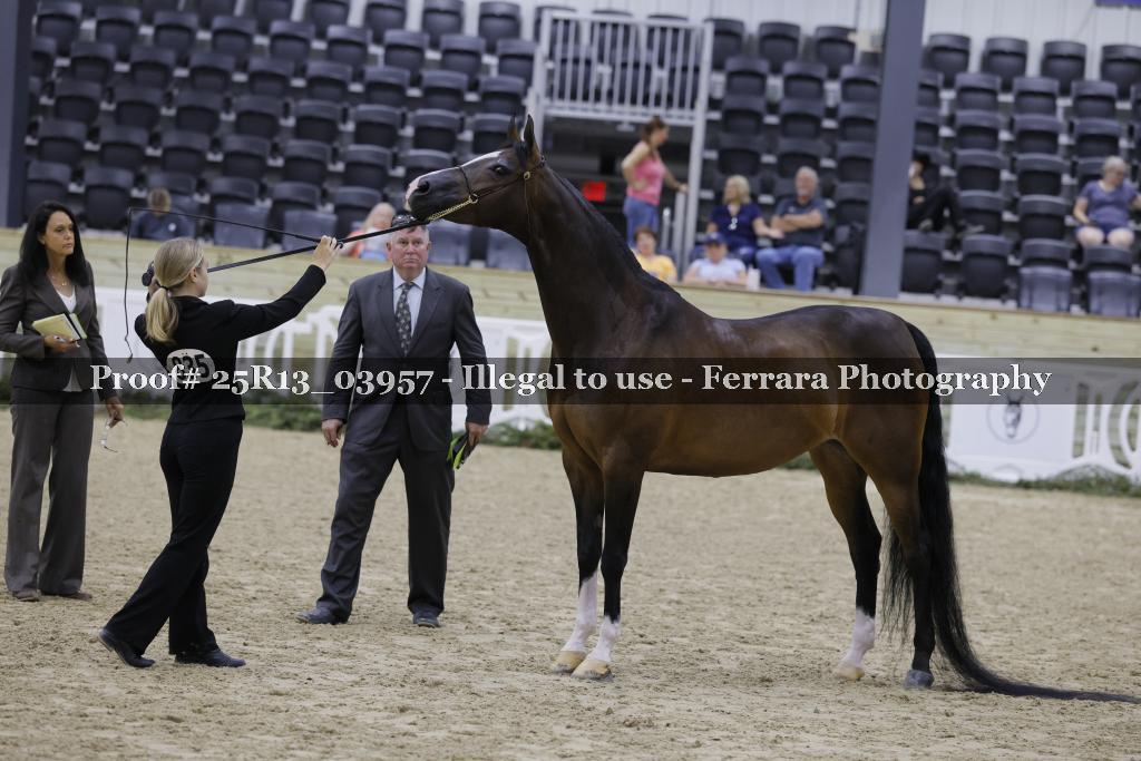 Proof 25R13_03957
