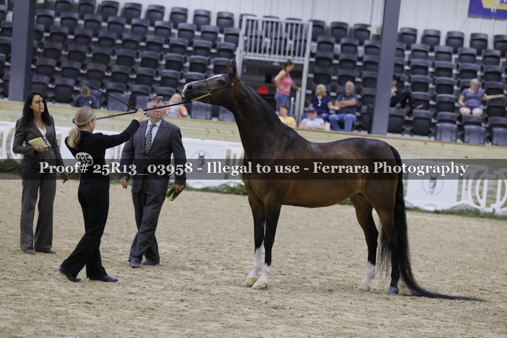 Proof 25R13_03958