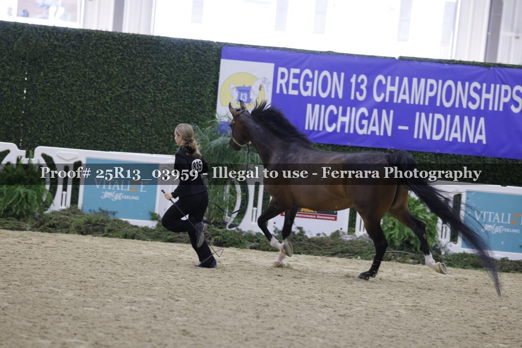 Proof 25R13_03959