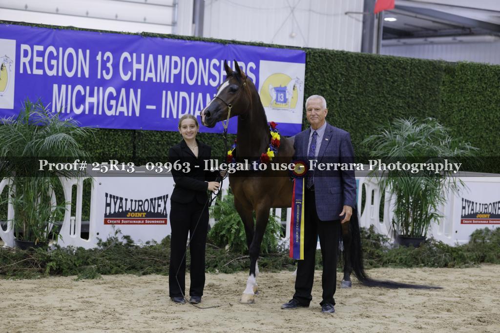 Proof 25R13_03963