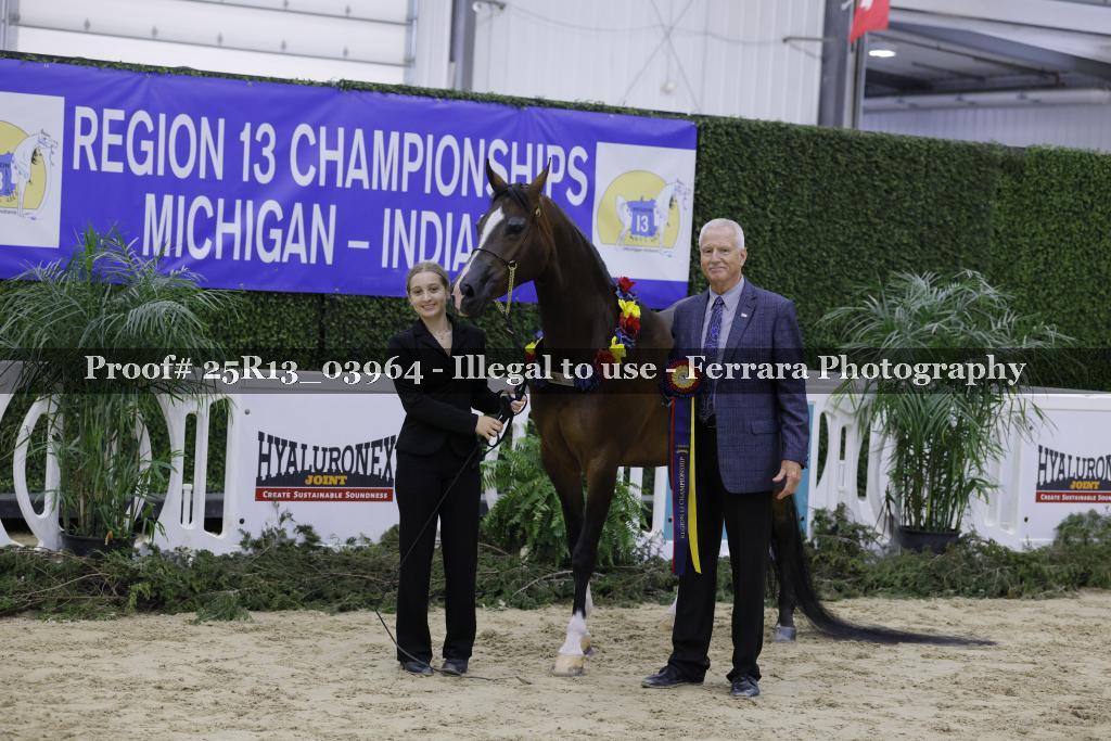 Proof 25R13_03964