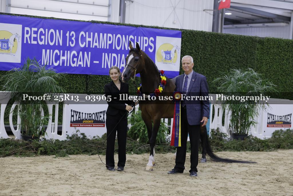 Proof 25R13_03965