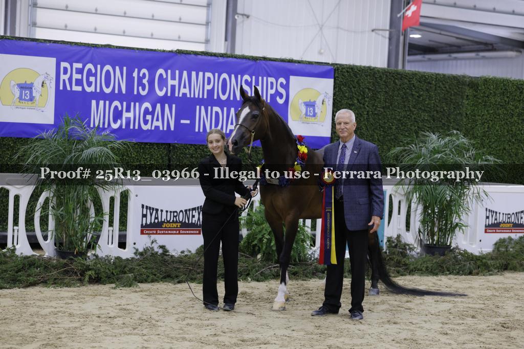 Proof 25R13_03966