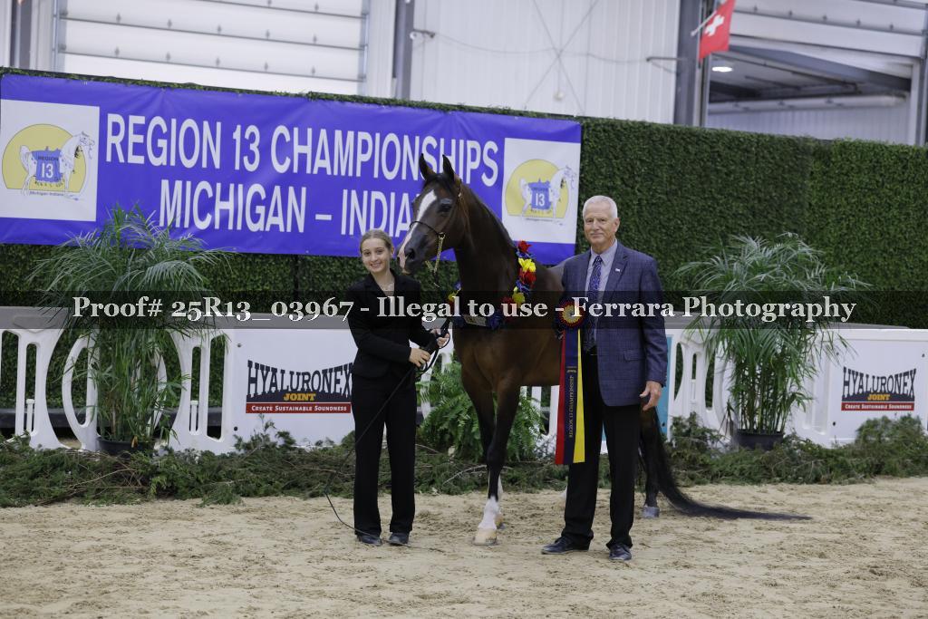 Proof 25R13_03967