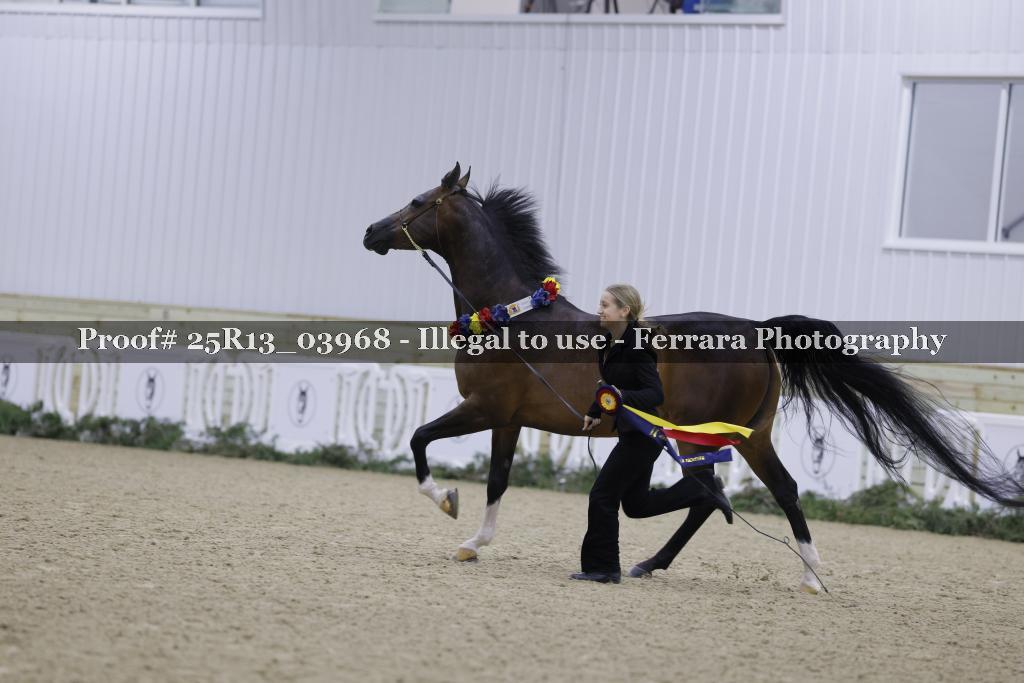 Proof 25R13_03968