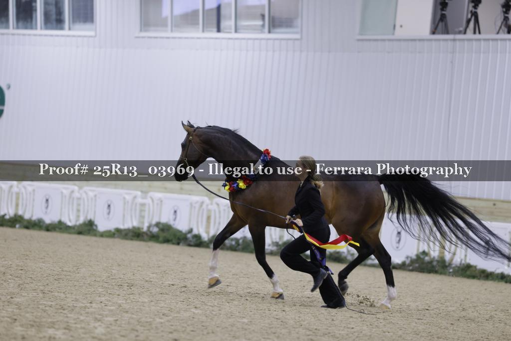 Proof 25R13_03969