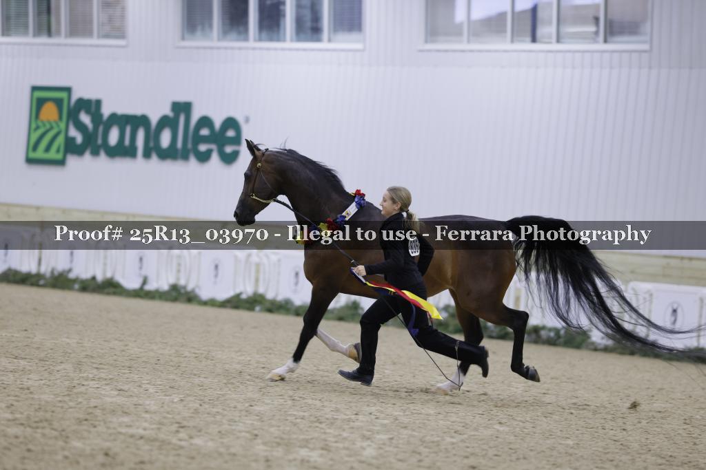 Proof 25R13_03970