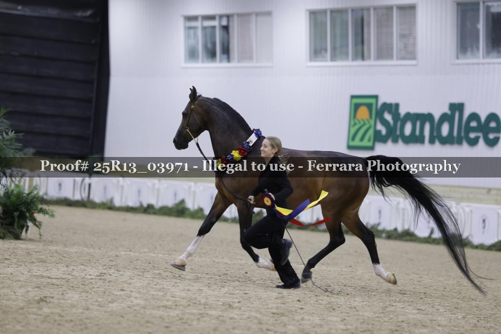 Proof 25R13_03971