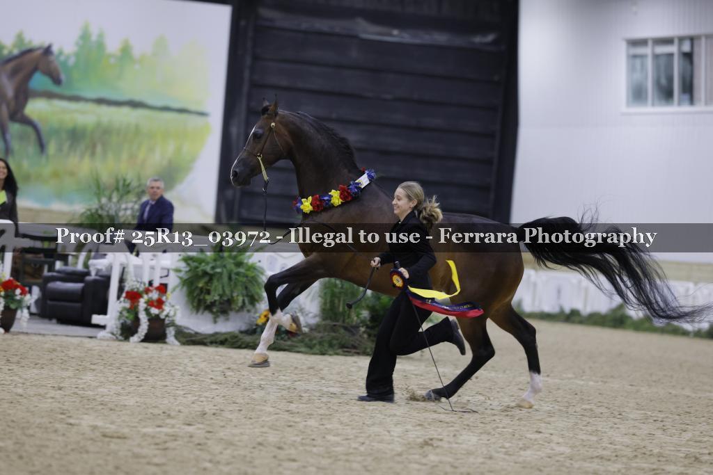 Proof 25R13_03972