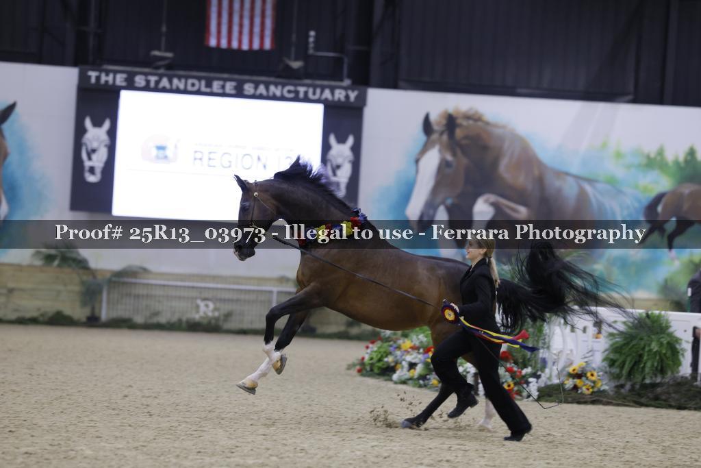 Proof 25R13_03973