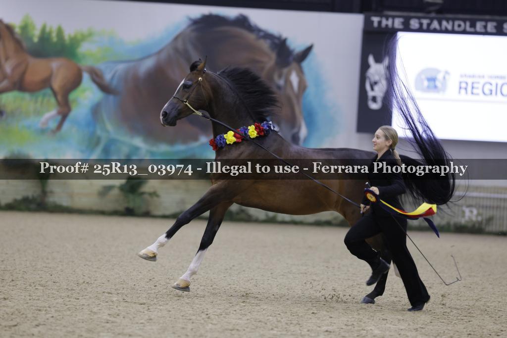Proof 25R13_03974