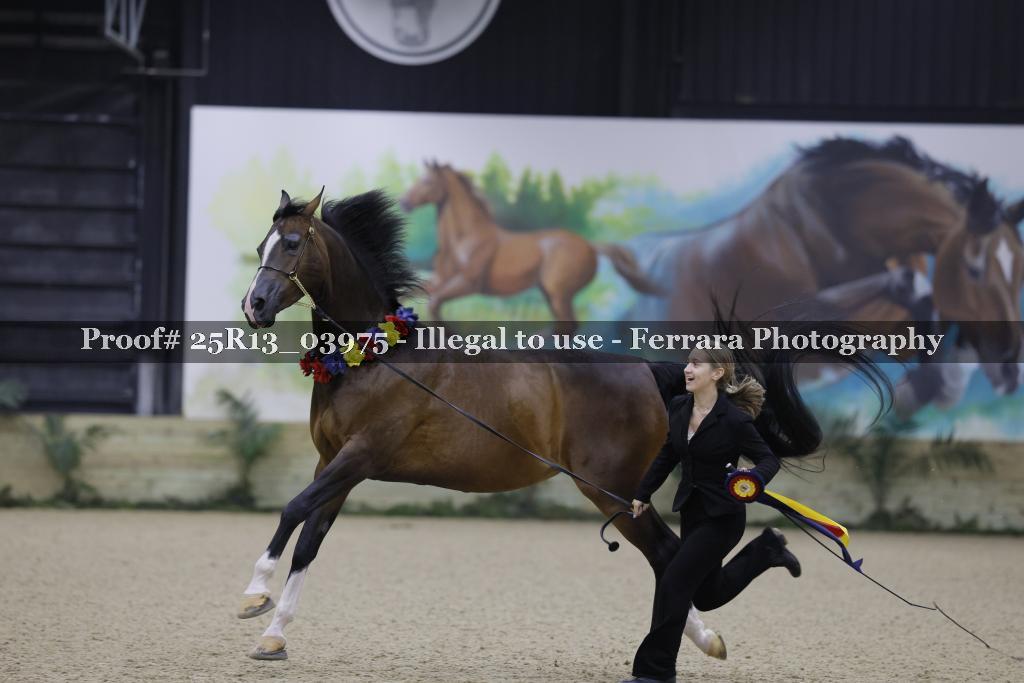 Proof 25R13_03975