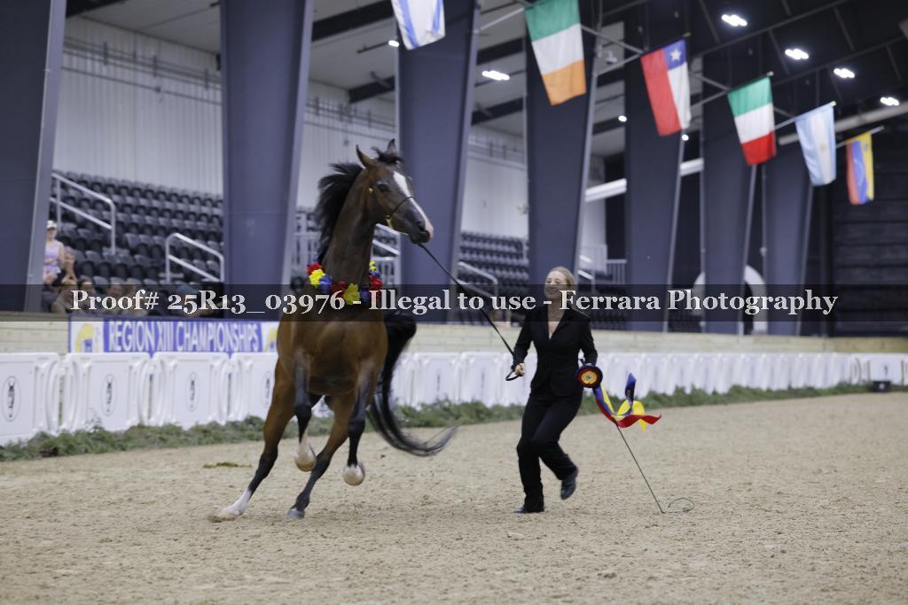 Proof 25R13_03976