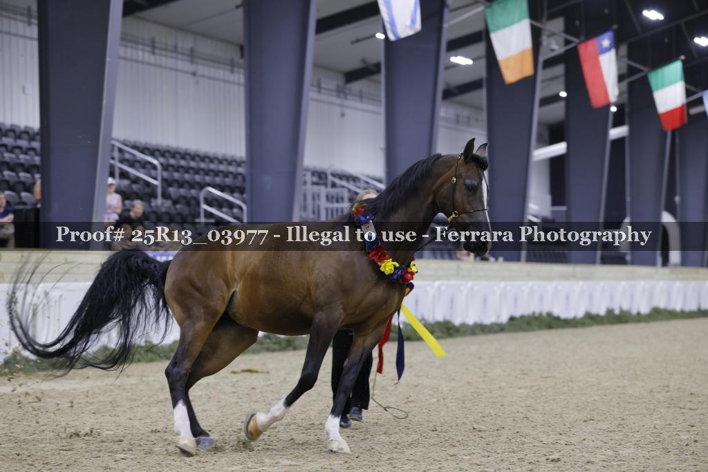 Proof 25R13_03977
