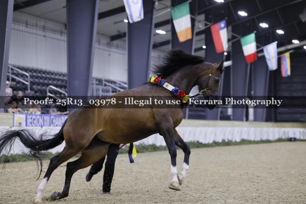Proof 25R13_03978