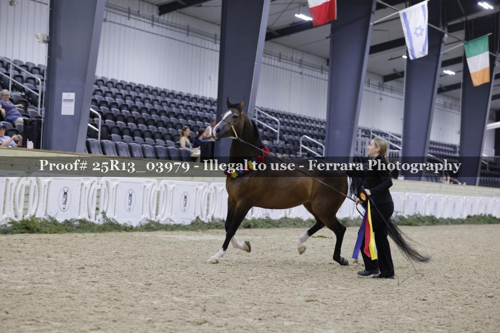Proof 25R13_03979