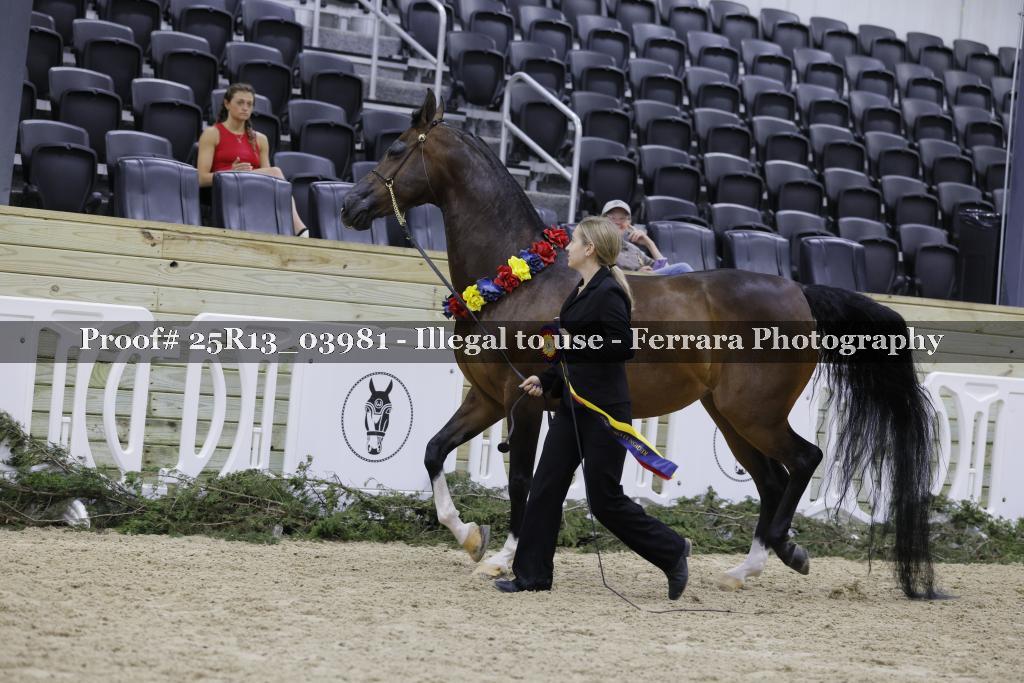 Proof 25R13_03981