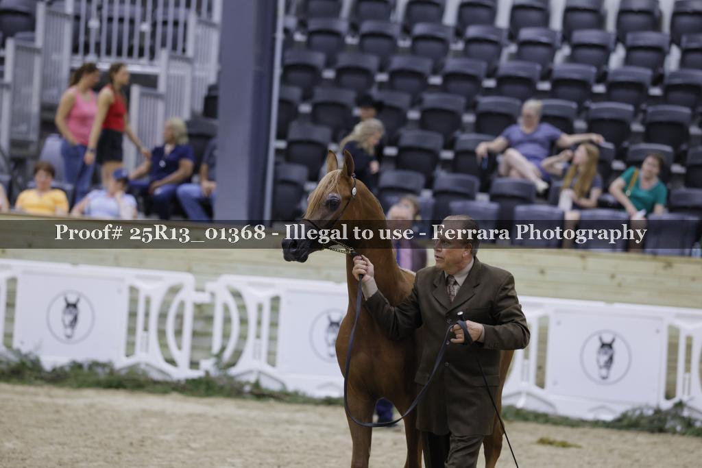 Proof 25R13_01368