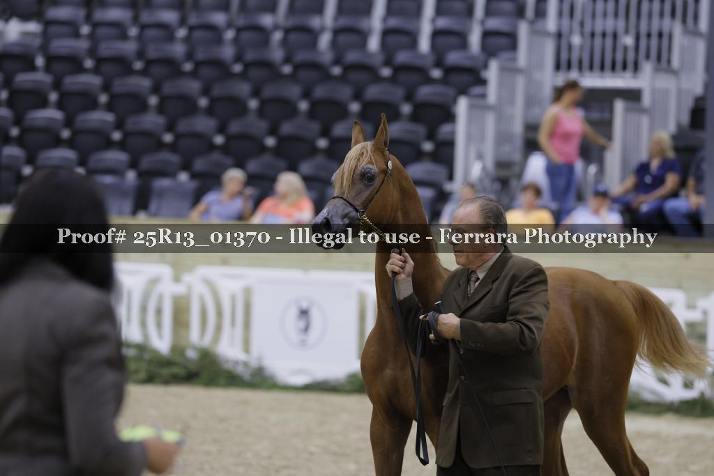 Proof 25R13_01370