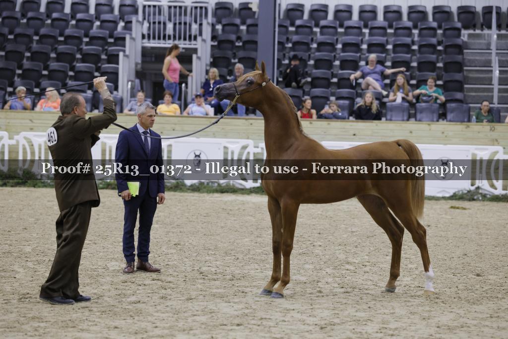 Proof 25R13_01372
