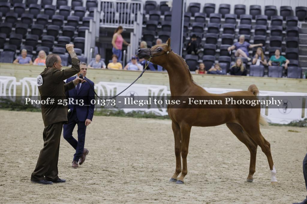 Proof 25R13_01373