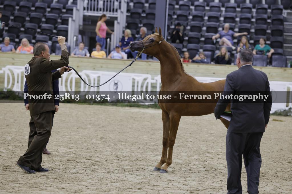 Proof 25R13_01374