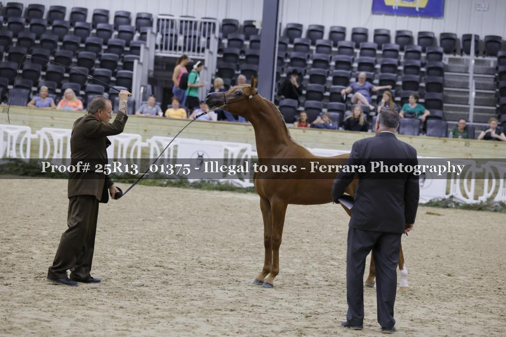 Proof 25R13_01375