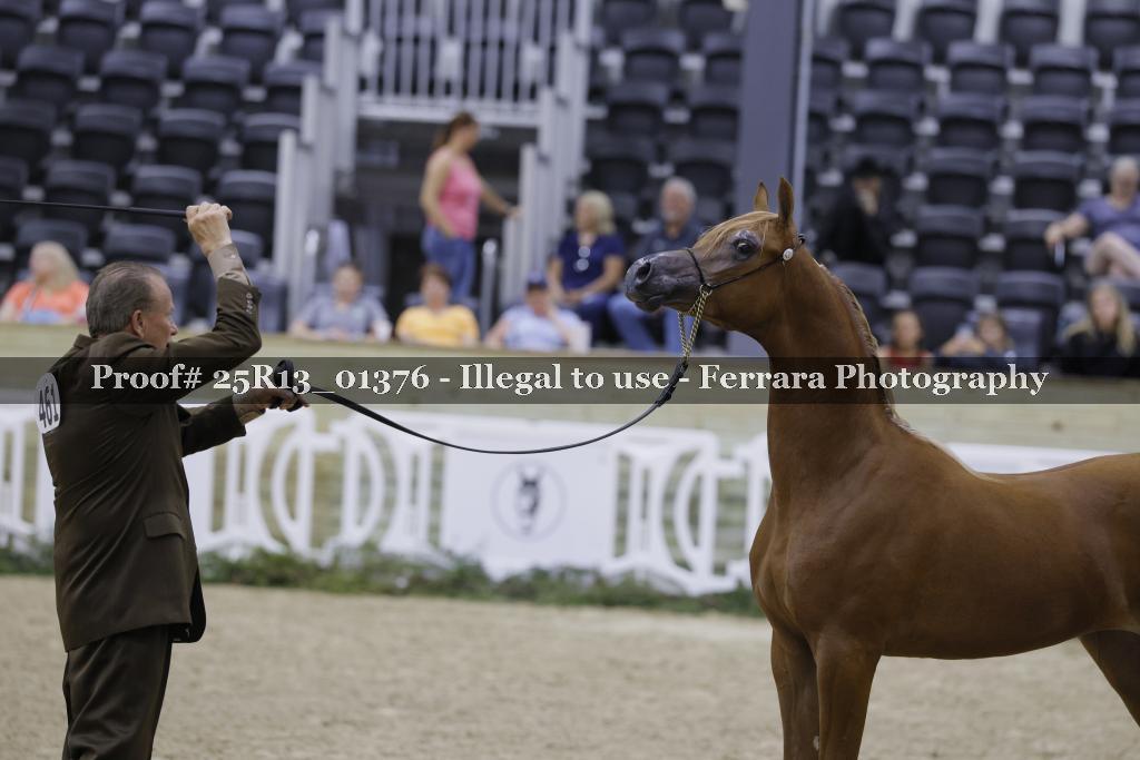 Proof 25R13_01376