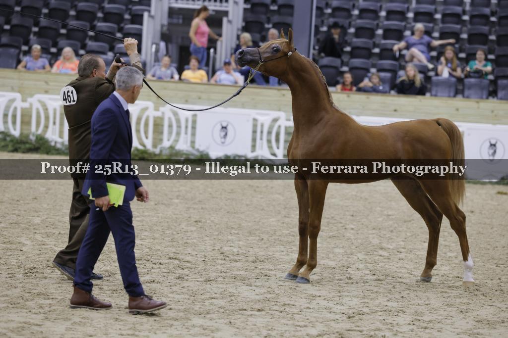 Proof 25R13_01379